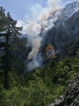 πυρκαγιά στην περιοχή Ζίτσα Ιωαννίνων