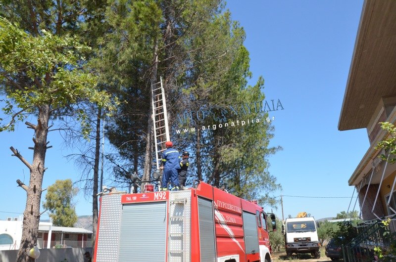 Η επιχείρηση της Πυροσβεστικής/ Φωτογραφία: argonafplia.gr
