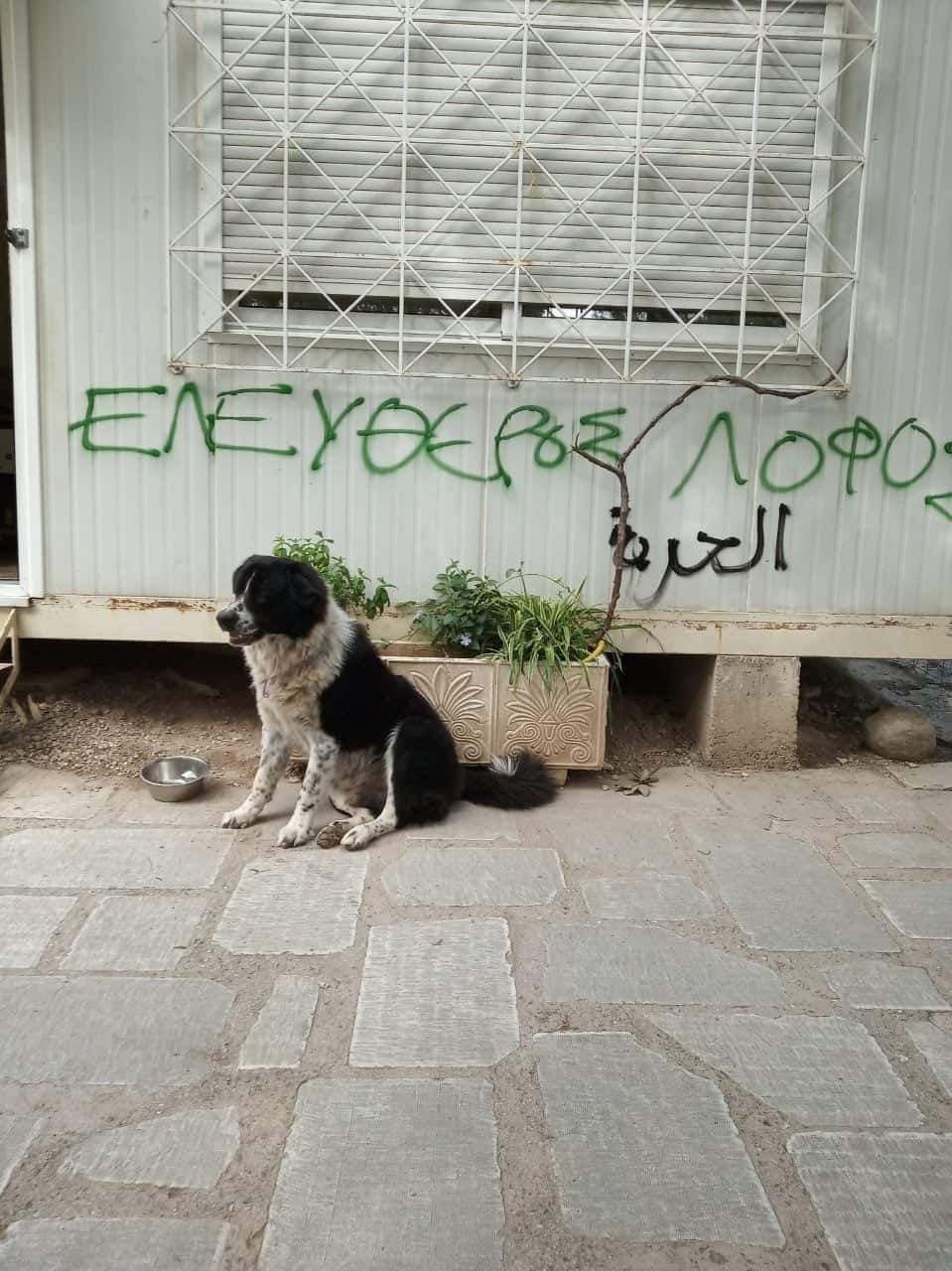 Συνθήματα στον τοίχο και ένας σκύλος