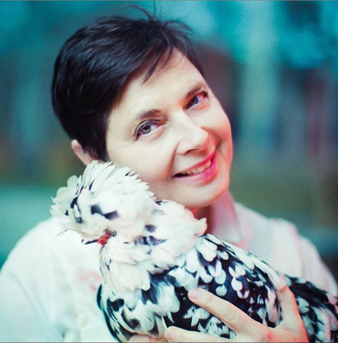 Με μια από τις κότες που παρακολουθεί πριν καν γεννηθεί, μέσα στα αυγά που εκκολάπτονται / Ιnstagram