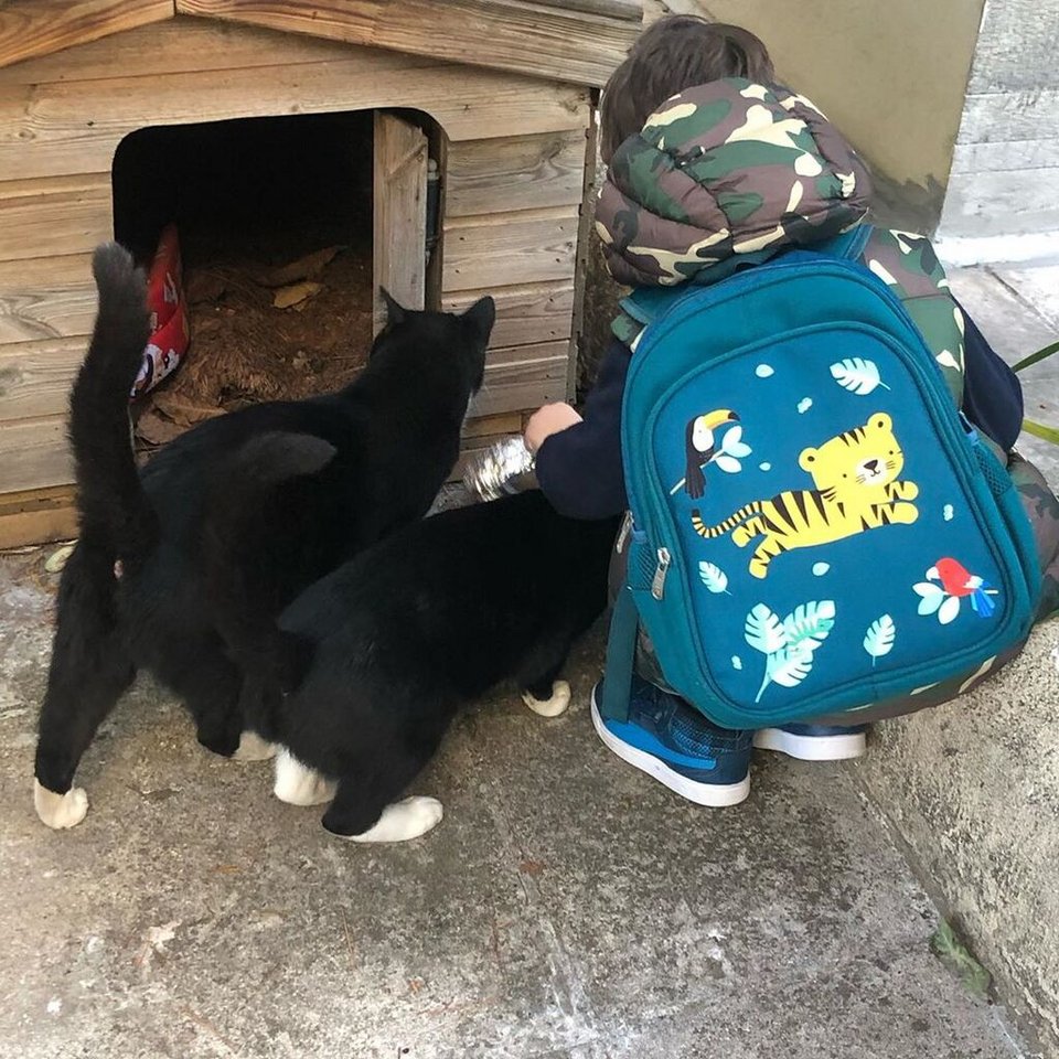 Ο γιος της Ρούλας Ρέβη ταΐζει γάτες