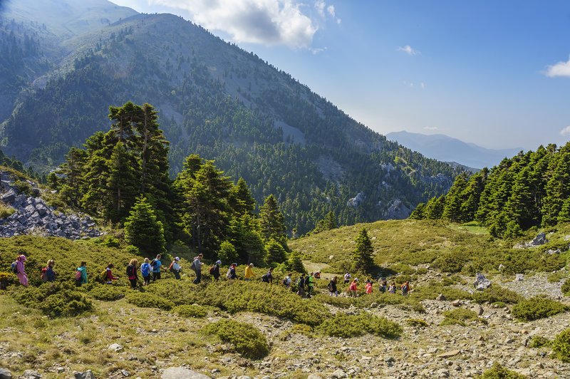Το αισθητικό δάσος Στενής /ΦΩΤΟΓΡΑΦΙΑ: SHUTTERSTOCK