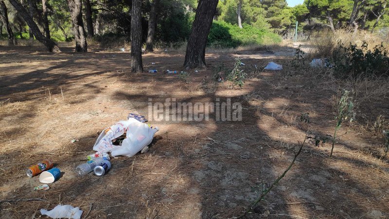 Εικόνες ντροπής στο προστατευόμενο πευκοδάσος του Σχοινιά
