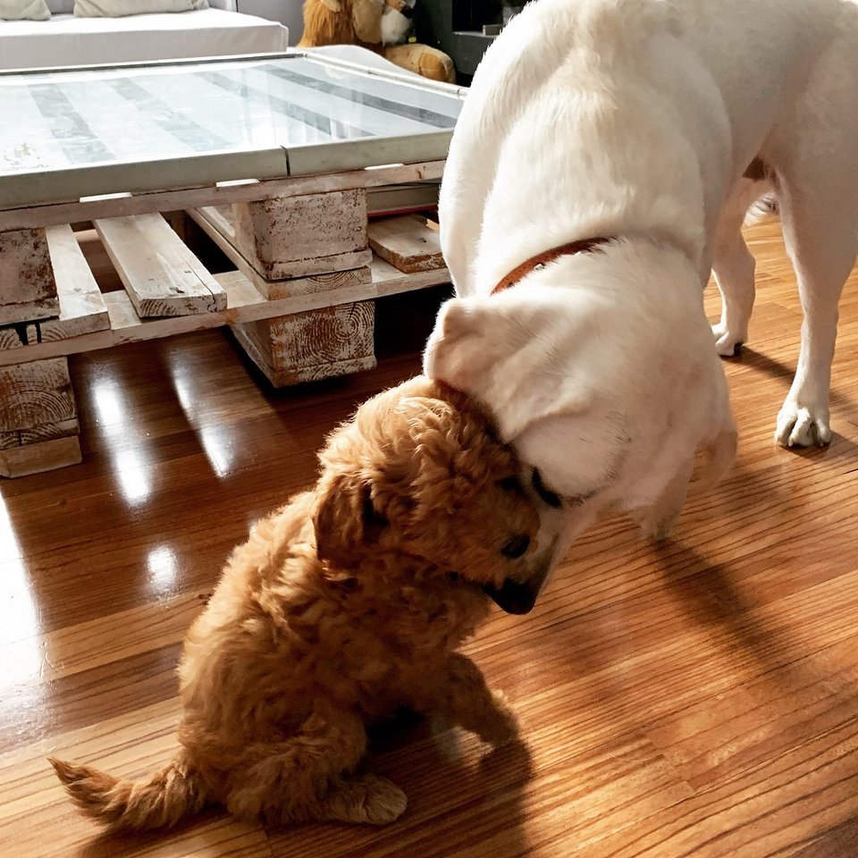 σαλόνι Σίσσυ Χρηστίδου