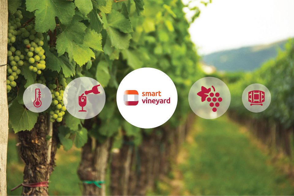 Smart vineyard