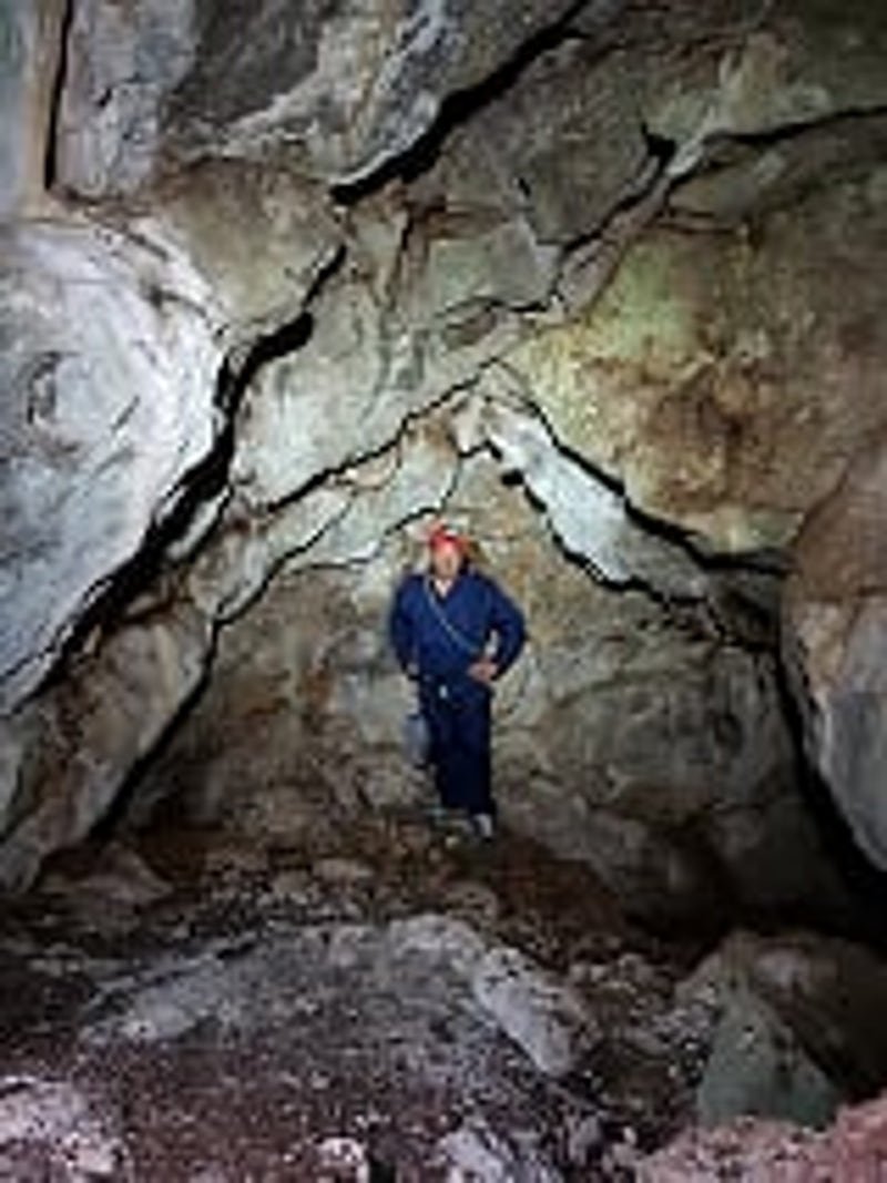Ο Αντρέας Κορίκης στην κύρια αίθουσα