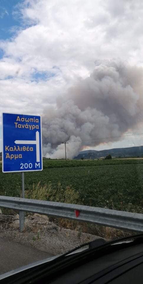 τανάγρα φωτιά