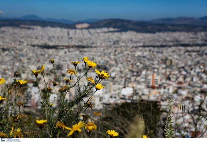 Θέα από τα Τουρκοβούνια
