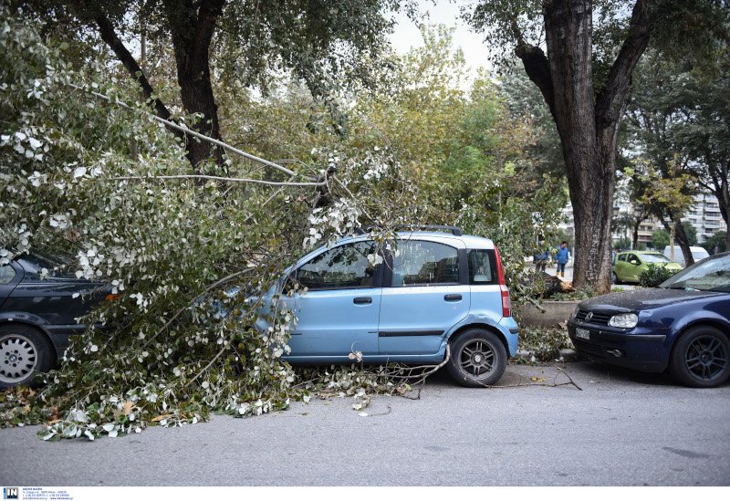 Πεσμένο δέντρο πάνω σε ΙΧ