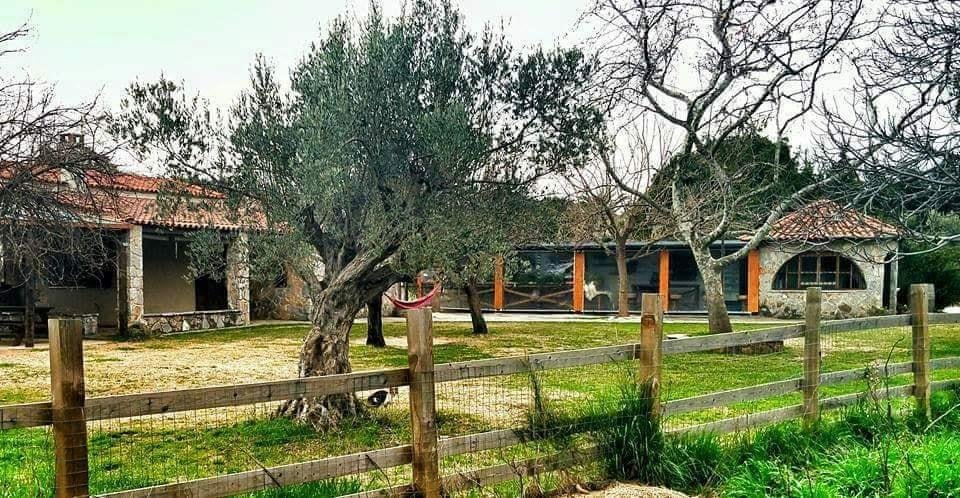 Φωτογραφία: Facebook Οικολογικό Αγρόκτημα Διαμάντι @Oikologiko.Agroktima.Diamanti