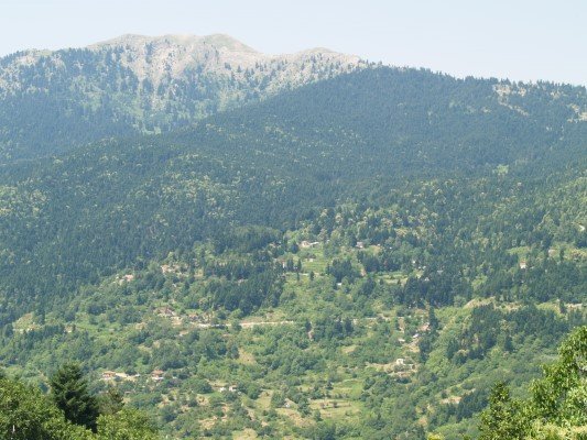 Φωτογραφία: Αποστόλης Ζώης/ΑΠΕ-ΜΠΕ