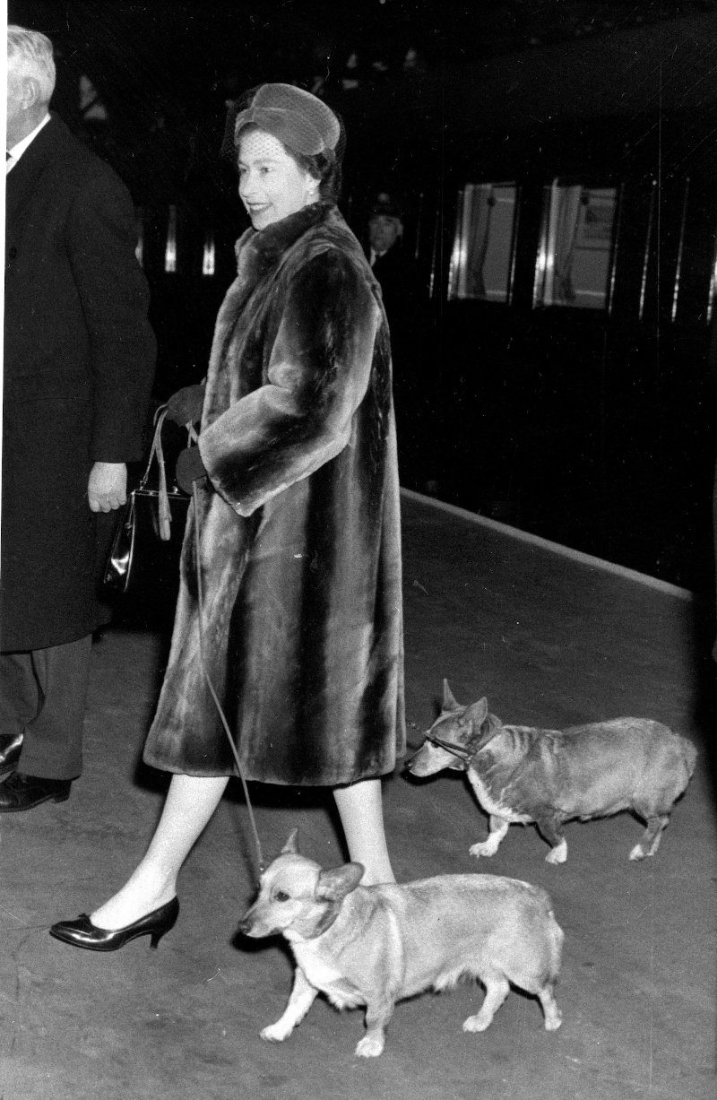 Η βασίλισσα Ελισάβετ με τα corgis της σε νεαρή ηλικία