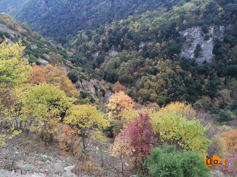 Η χαράδρα που εντοπίστηκα νεκρές μάνα και κόρη / Φωτογραφία: seleo.gr