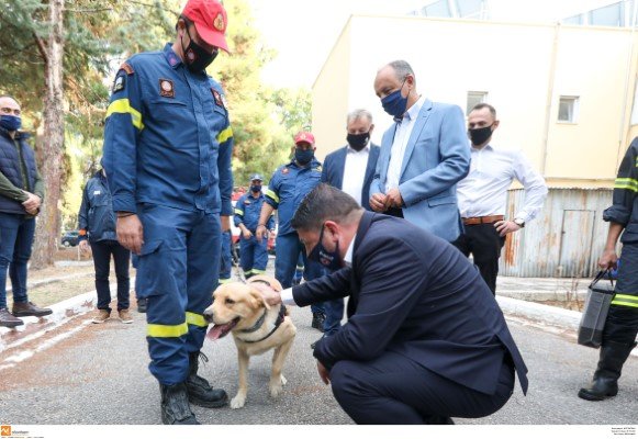 Ο Ν. Χαρδαλιάς χαϊδεύει σκύλο της ΕΜΑΚ -Φωτογραφία: MEGAPRESS/ΜΑΚΡΙΔΗΣ ΠΑΥΛΟΣ