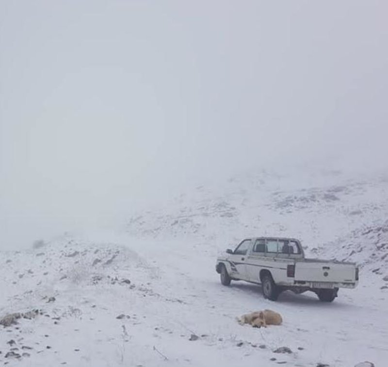 Ενα αγροτικό όχημα πάνω στο χιόνι, στο χωριό Συρράκο