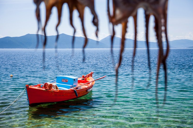 βαρκα