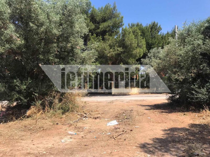 Αλλη εικόνα στο Ζούμπερι μετά το δημοσίευμα του iefimerida. Τα μπάζα και τα κλαδιά εξαφανίστηκαν