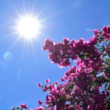 καιρός ήλιος