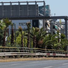 300 φοίνικες φυτεύτηκαν στη Συγγρού