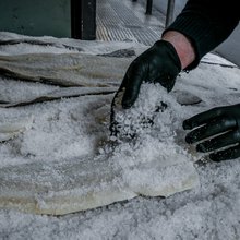 Μπακαλιάρος