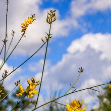 Καιρός, ήλιος και σύννεφα