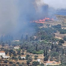 Φωτιά σε δασική έκταση στην Άνδρο