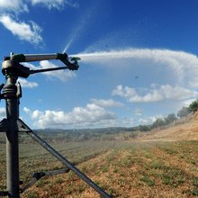 Πότισμα με τεχνητή βροχή σε καλλιέργειες