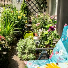 Ενα μπαλκόνι όαση πρασίνου