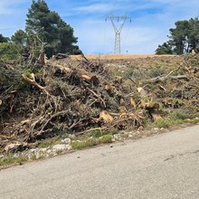 Καθαρισμός οικοπέδου