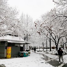 χιονια περιπτερο 