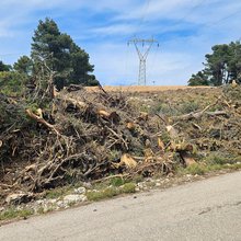 Ακαθαριστο οικόπεδο