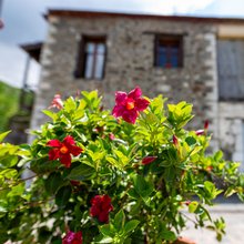 Η Βαμβακού στη Λακωνία 