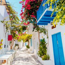 σοκακι βουκαμβιλιες