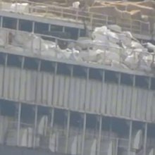 Τουρκία: Πάνω από 2800 αγελάδες παραμένουν εγκλωβισμένες σε πλοίο -Τουλάχιστον 58 έχουν πεθάνει και 140 έχουν γεννήσει