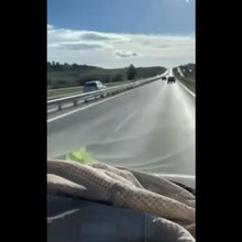 Ηλικιωμένος οδηγός μπήκε ανάποδα στην Εθνική Οδό -Το video που έγινε viral