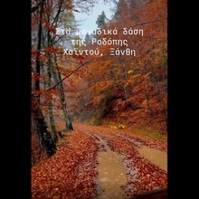 Δάσος Χαϊντού