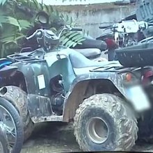 Αυτή είναι η γουρούνα που έπεσε και σκοτώθηκε ο 4χρονος Ανδρέας