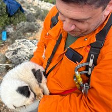 Η διάσωση του κουταβιού που επέζησε από την κτηνωδία στο Πήλιο