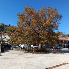 Ο Άγιος Πέτρος