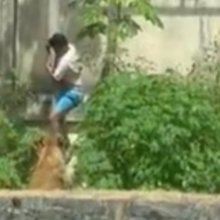 Η στιγμή της επίθεσης της λέαινας στον 19χρονο σε ζωολογικό κήπο στη Βραζιλία