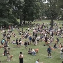 Αργεντινή: Ένα πάρκο γεμάτο με... γκόλντεν ριτρίβερ στο Μπουένος Άιρες -Πάνω από 1500 σκυλιά [βίντεο]