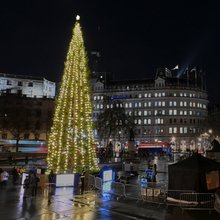 Χριστουγεννιάτικο δέντρο στην πλατεία Τραλφάγκαρ του Λονδίνου 