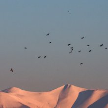 Χιόνια στον Όλυμπο
