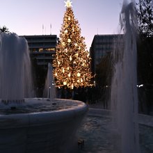 Χριστουγεννιάτικο δένδρο Αθήνα