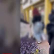 ξύλο μαθήτριες Λαμία