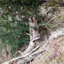 κορμος αντρας