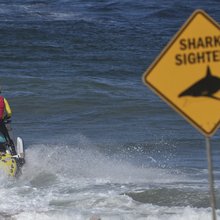Επίθεση καρχαρία 