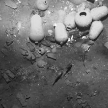 Η γαλέρα San José, που βυθίστηκε το 1708 με χρυσά νομίσματα και κοσμήματα, ανοιχτά της Καρταχένα