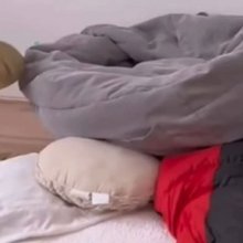 Φωτογραφία: screenshot