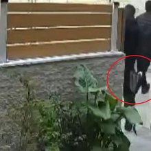 Ανήλικοι είπαν τα κάλαντα και έκλεψαν παπούτσια από σπίτι στο Χαϊδάρι